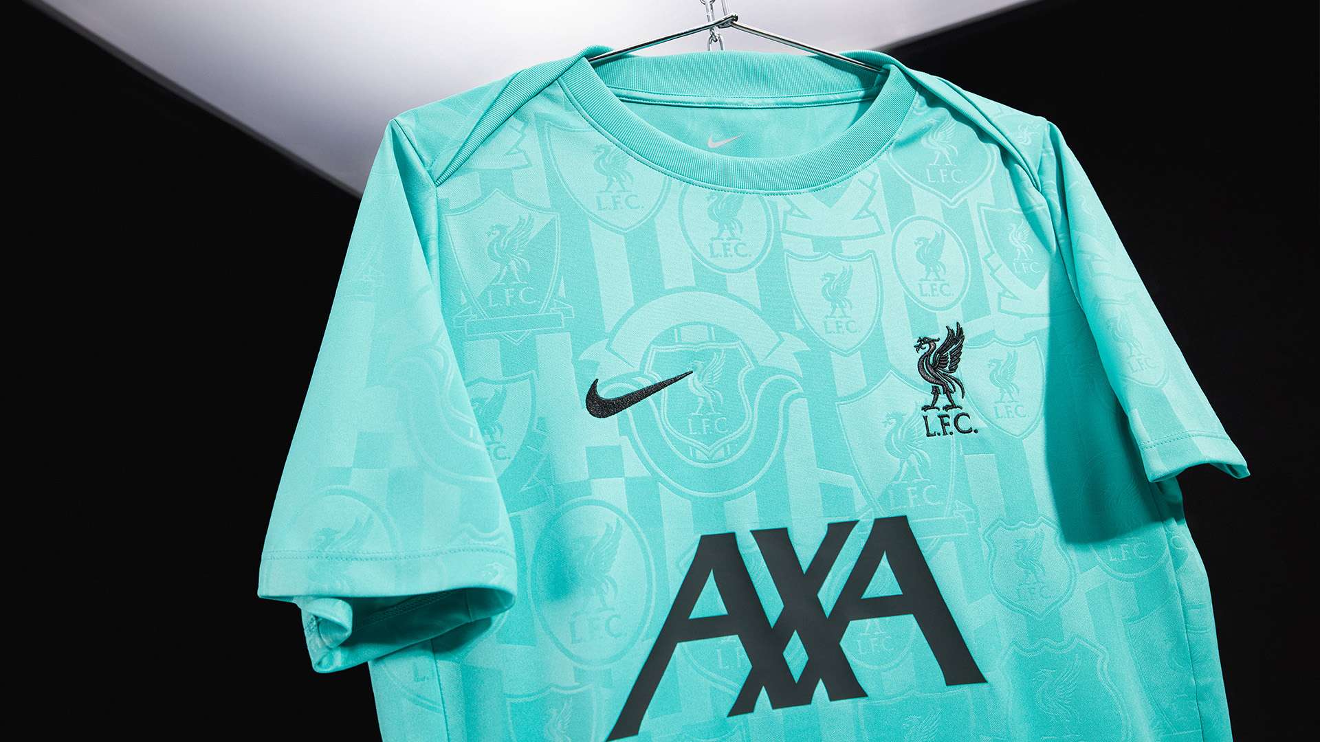 審視他在歷 審視他在歷