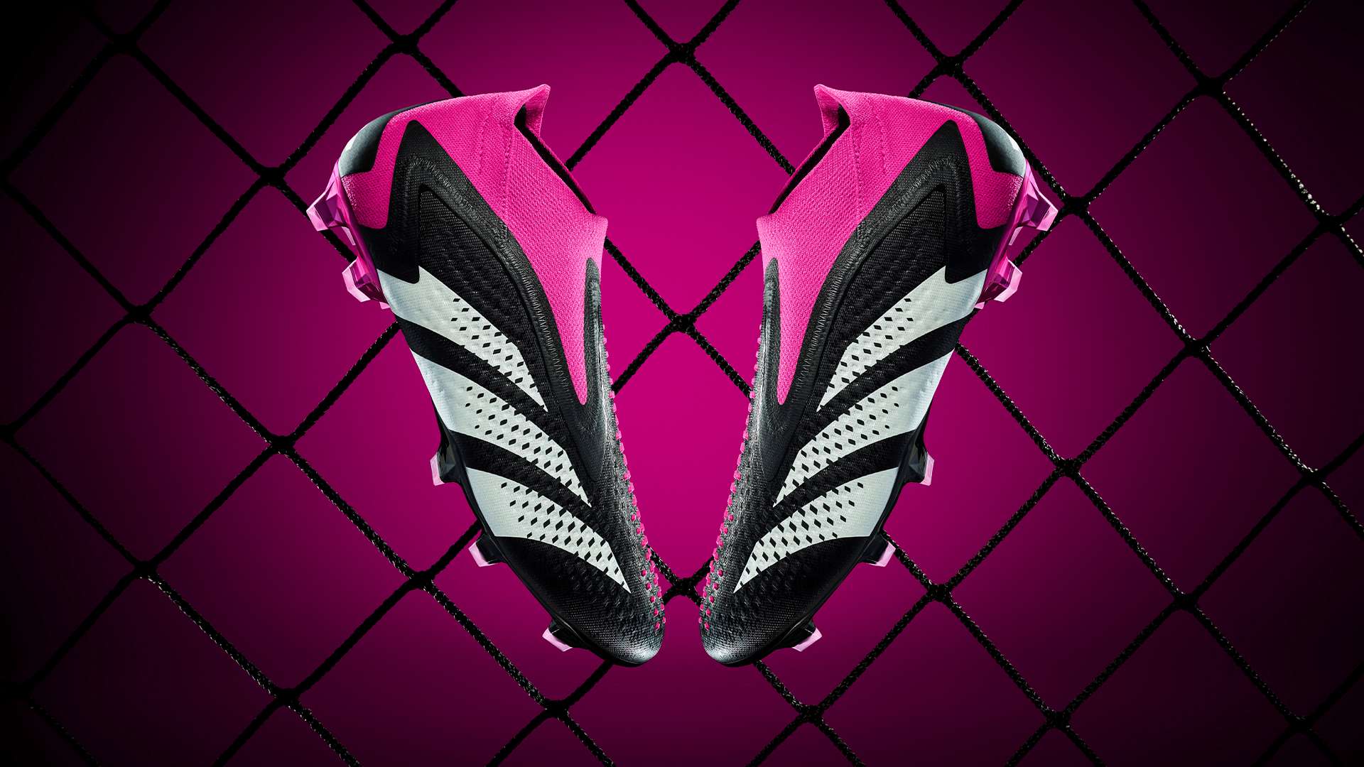 一个争议点 一个争议点