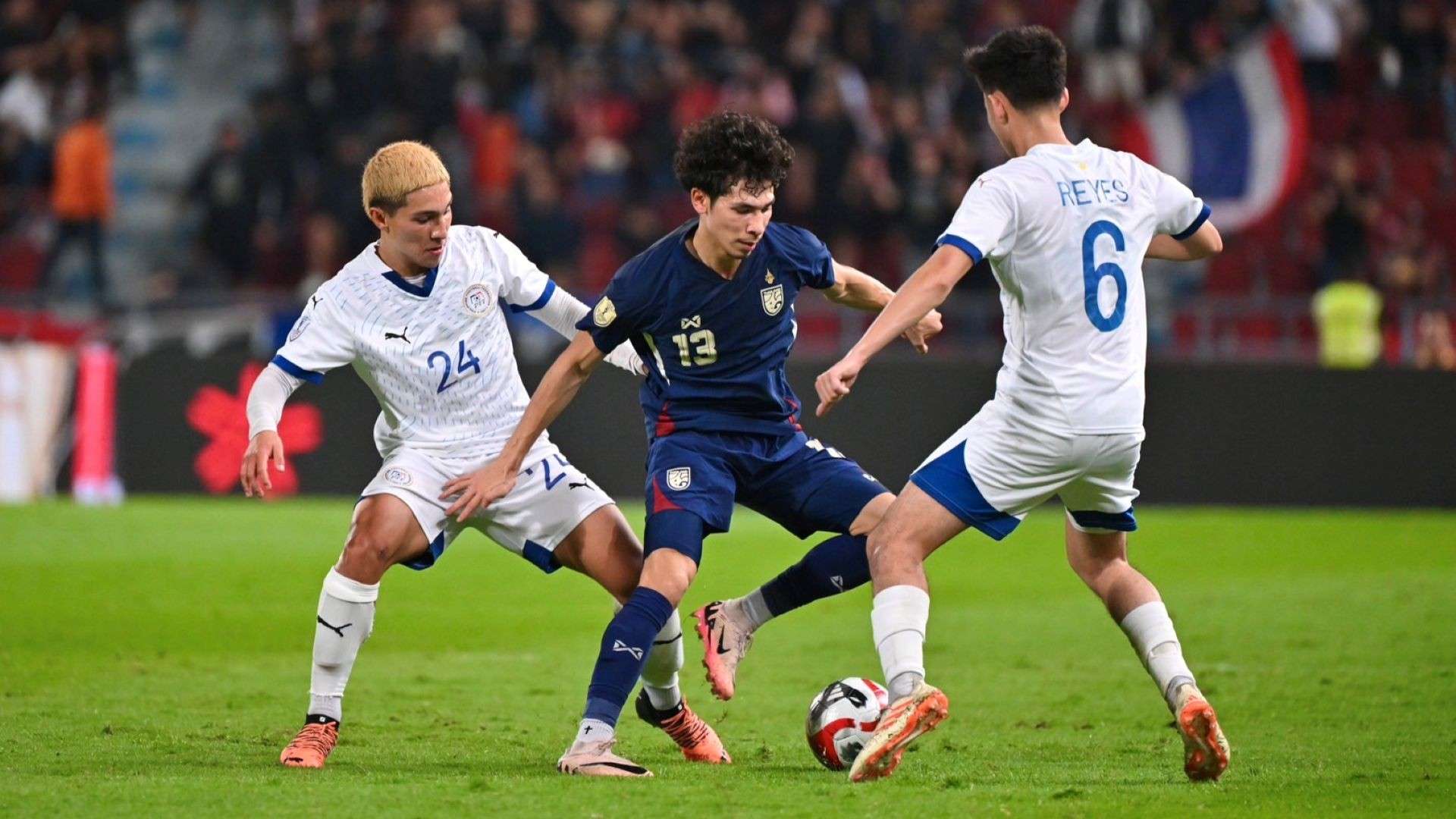 节的表现可 节的表现可